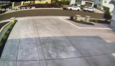 Lincoln bear sighting adds to recent reports in Roseville, Rocklin