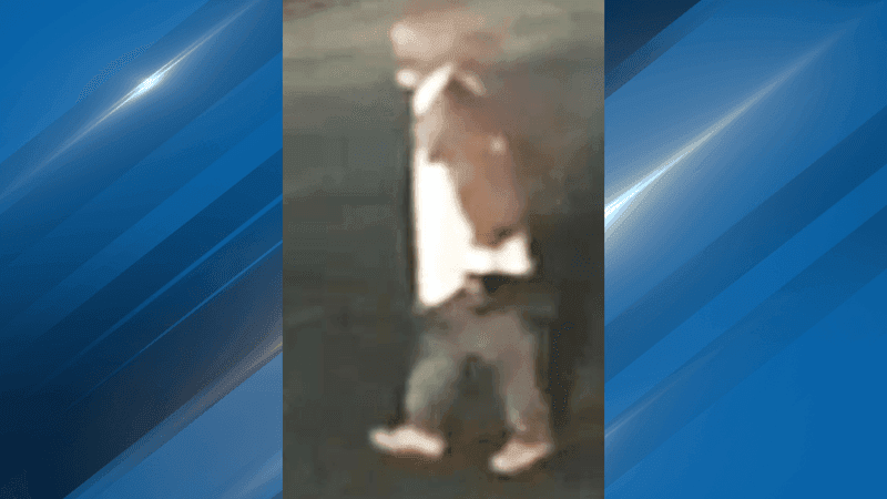 The Bakersfield Police Department is asking for the community’s help in identifying two people accused of stealing an industrial cooling fan from Moo Scratch Kitchen. PHOTO: BPD