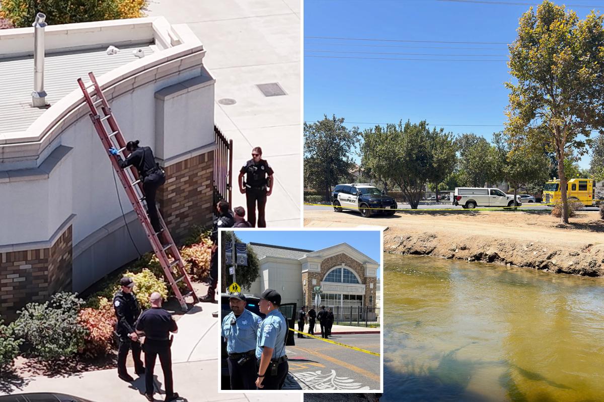 Two bodies found in Fresno as police investigate separate deaths