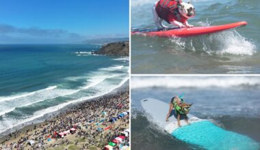 World Dog Surfing Championships hit Pacifica, California