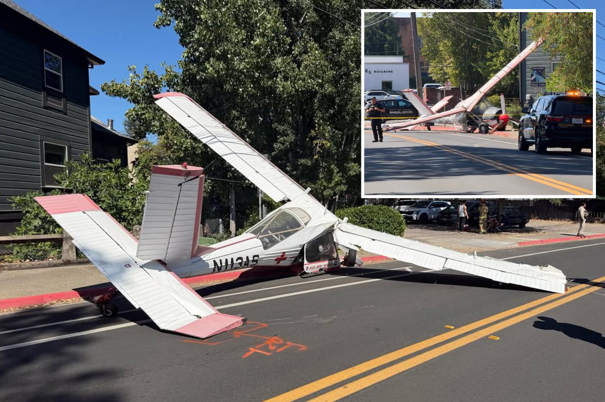 Plane makes terrifying crash landing in Ukiah