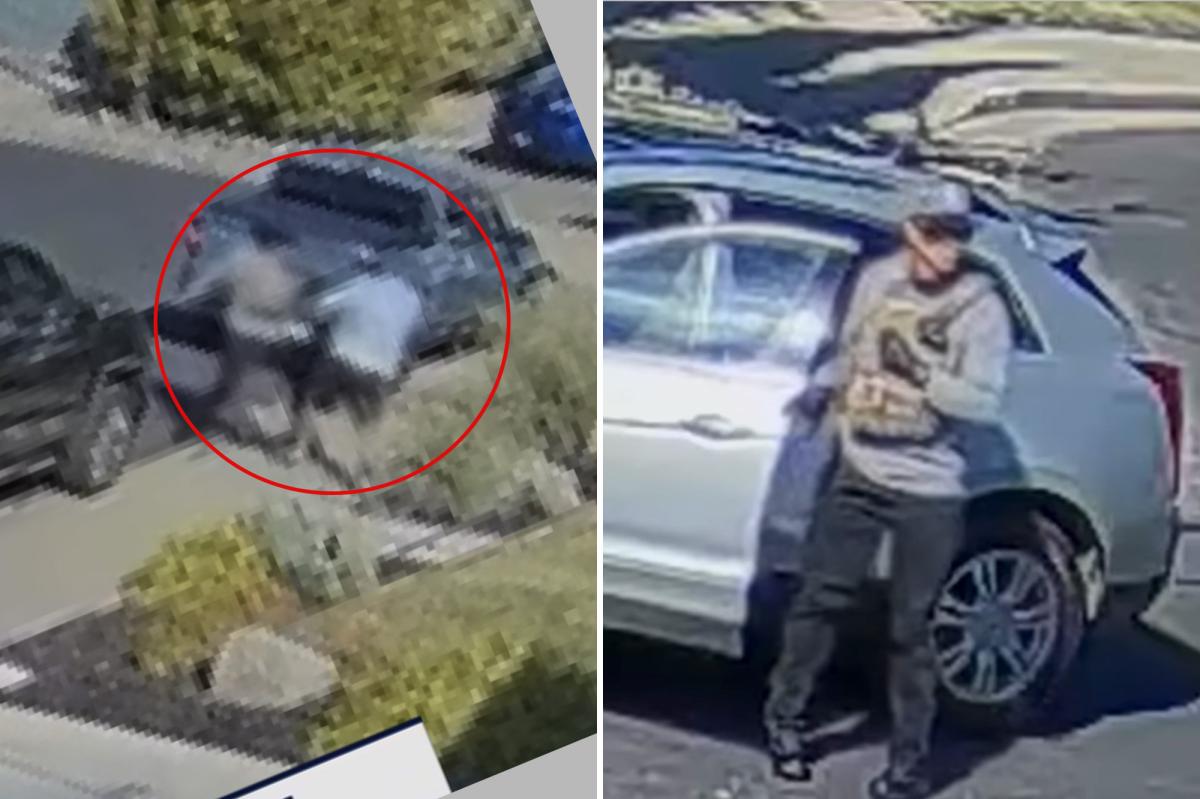 Horrifying video shows elderly man fatally stabbed in Martinez