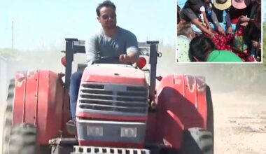 California farmer loses court battle against fruit giant Giumarra