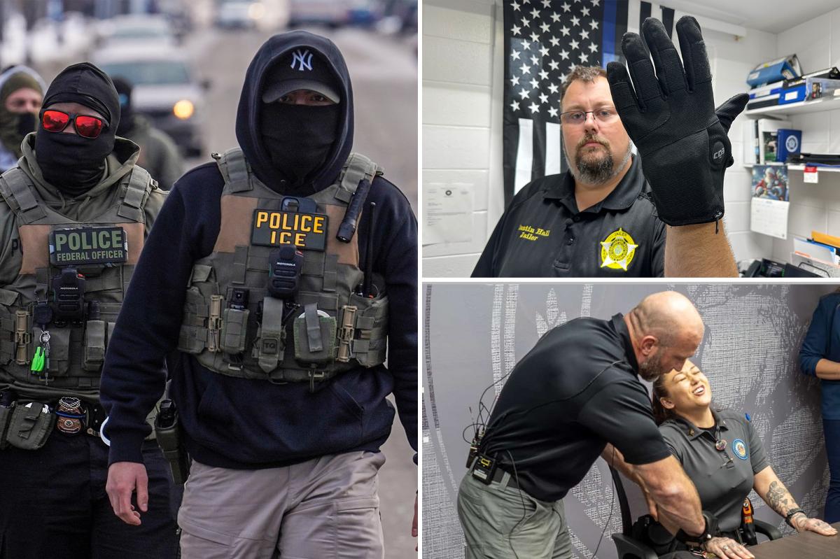 California lawmakers seek to ban ICE’s electroshock device