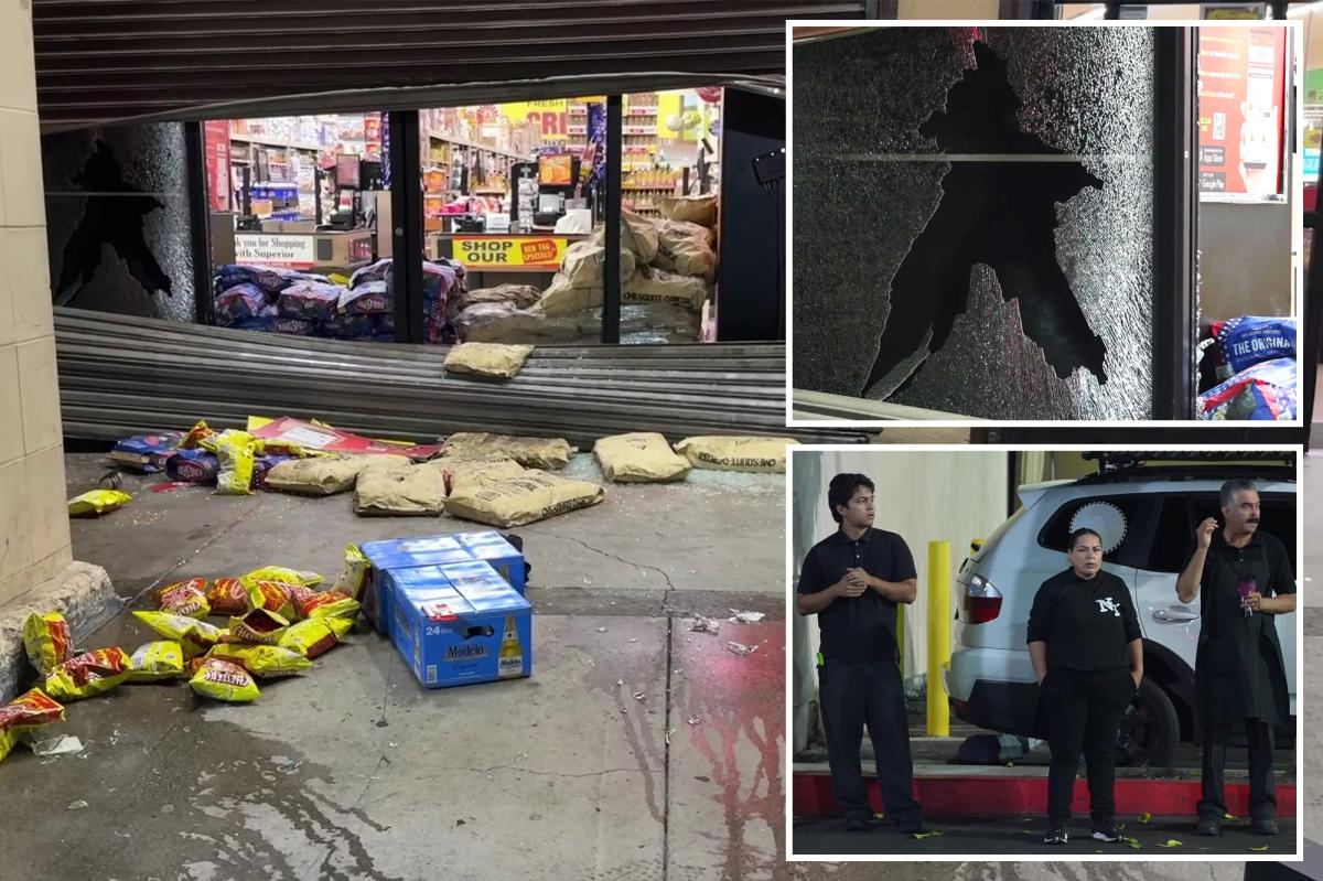 Gang loots Superior Grocers in front of staff in South Los Angeles
