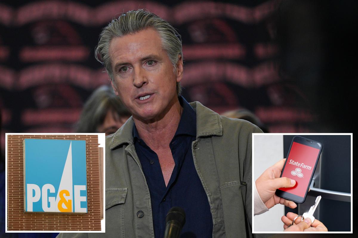 Legislators block Gavin Newsom's attempt to stop insurers from suing utility companies that cause wildfires