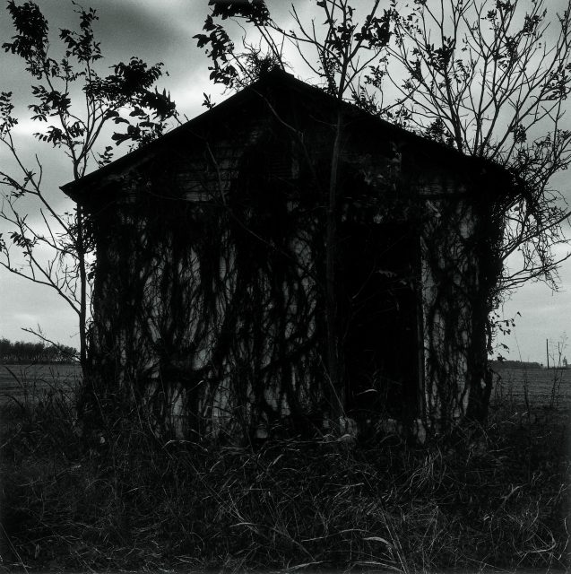 A small, abandoned building covered in vines stands in a field, silhouetted against a cloudy sky with sparse trees nearby.