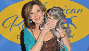Investigators search 'Exorcist' actress Linda Blair's LA County animal rescue property for compliance