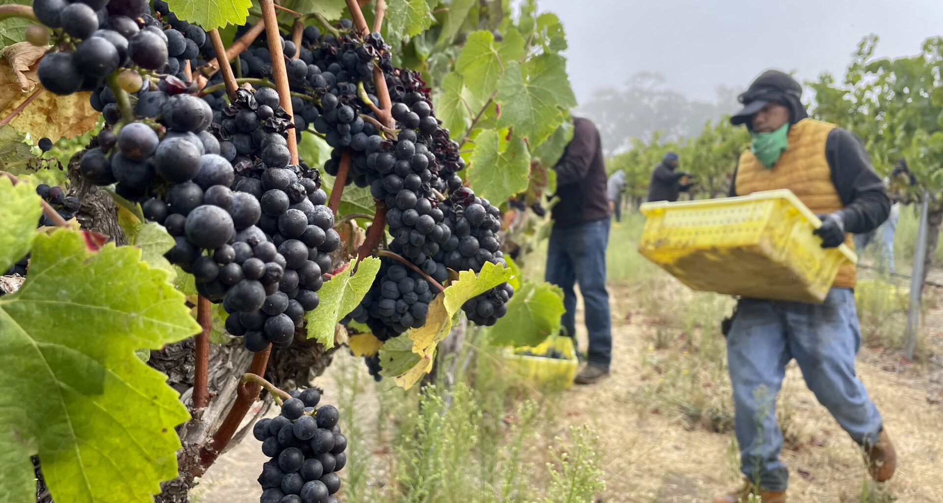 Updates on Iran War | Challenging Times for CA Wine | 75 Years of Broadway Sacramento