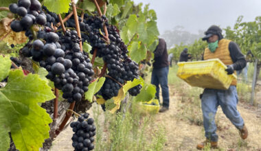 Updates on Iran War | Challenging Times for CA Wine | 75 Years of Broadway Sacramento