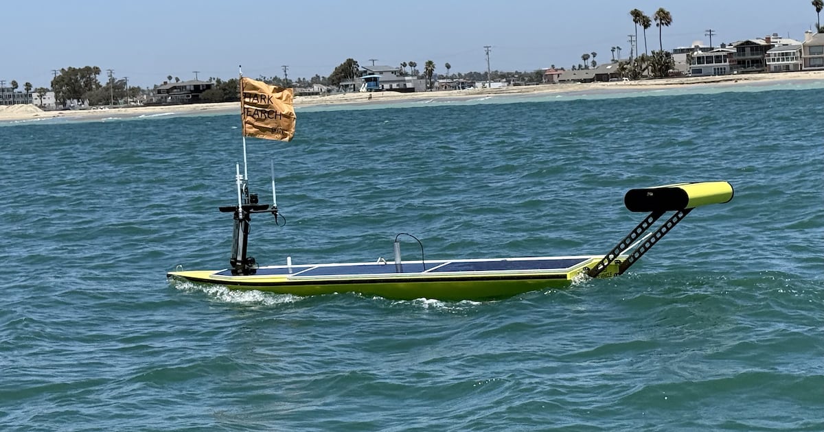 California scientists build robot to look for great white sharks near beaches