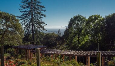 Around Berkeley: Hike to Grizzly Peak, women in tattooing, learn Irish dancing
