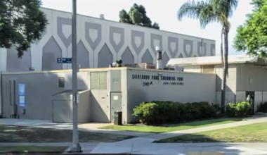 Long Beach Wants to Borrow $50 Million: Is the City Putting Public Property at Risk?