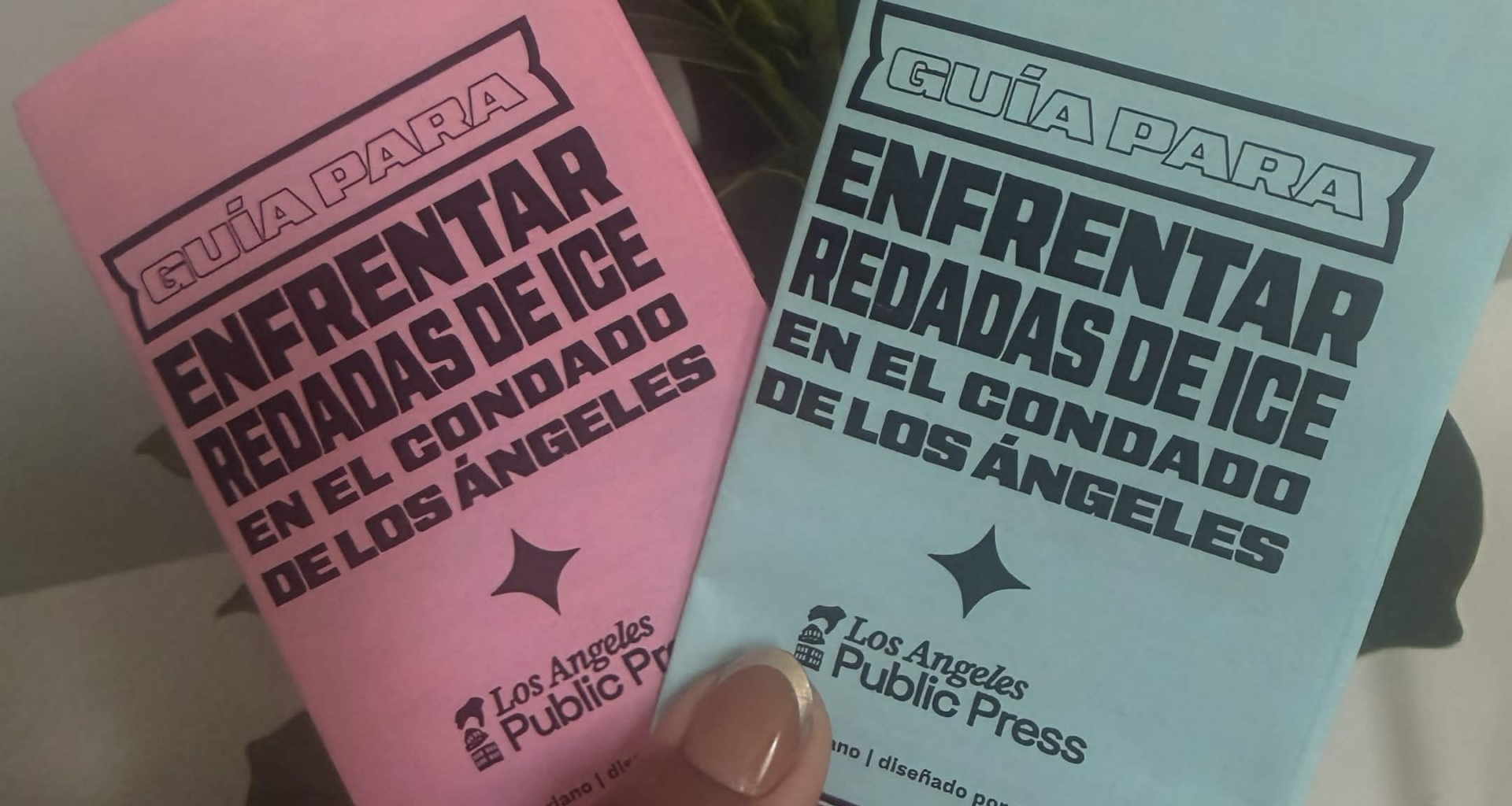 Three DIY Zine Makers to Support In a Time When Their Craft Is Criminalized ~ L.A. TACO