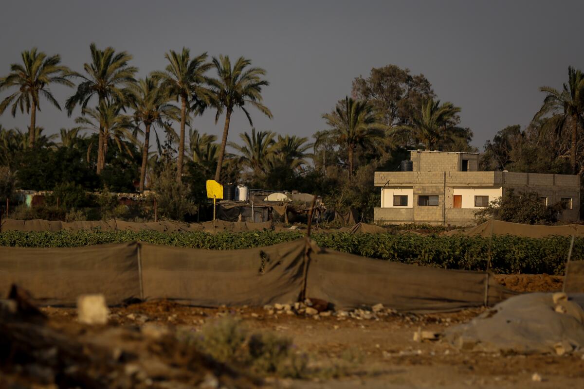 A farm in Deir Al-Balah, Gaza. 