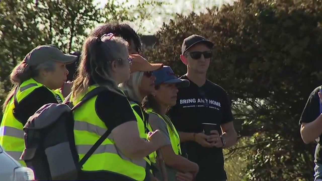 Volunteers renew effort to find missing Oakland woman Amy Hillyard