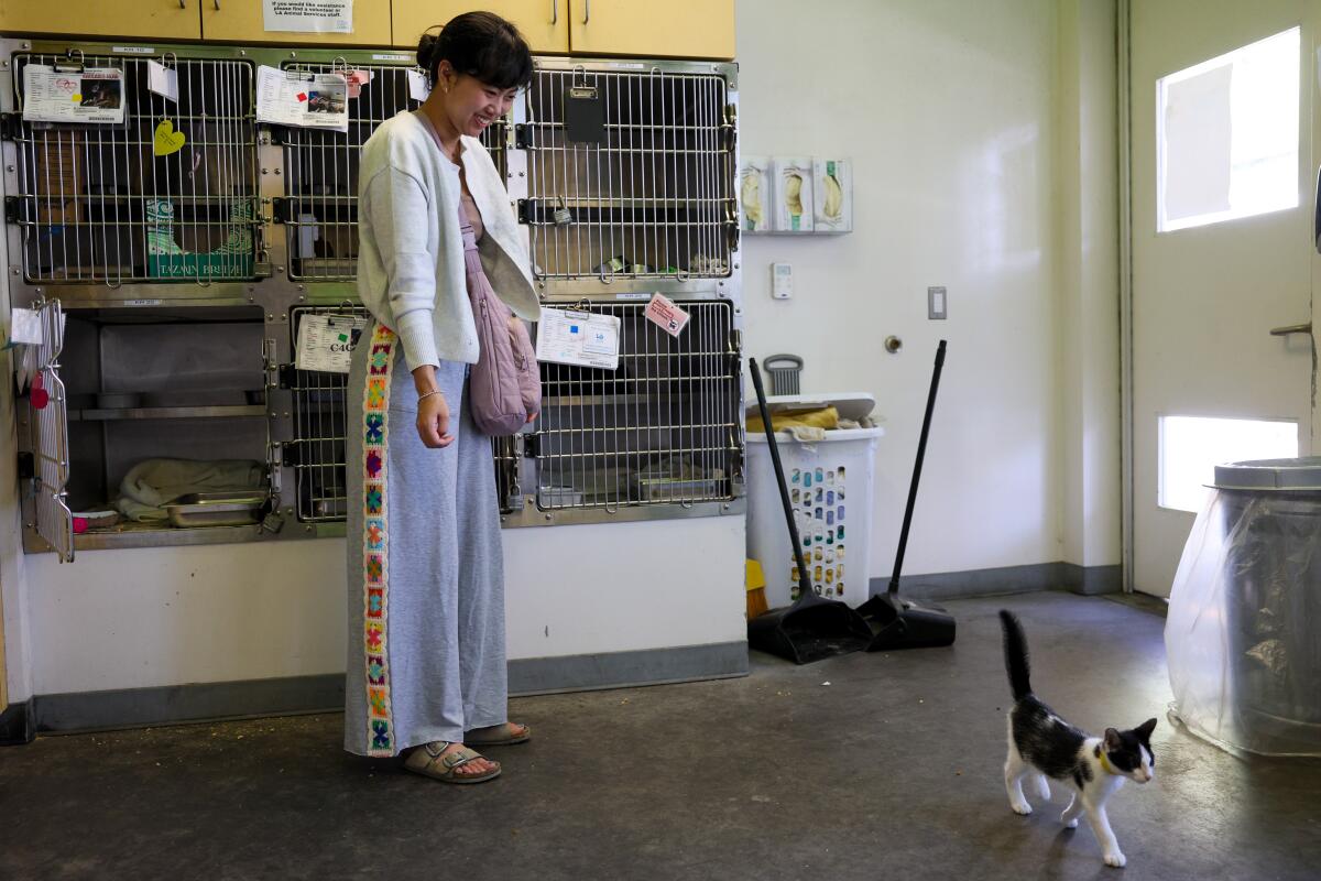 Torrance resident Katherine Han smiles while watching Baby walk around a cat viewing area.