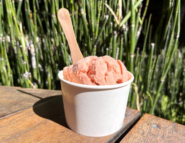 Serotonin Scoops in Berkeley refers to its scoops "doses," and a cup with two scoops, like this one with guava and malai-kulfi ice cream, is called a "balanced dose." (John Metcalfe/Bay Area News Group) 