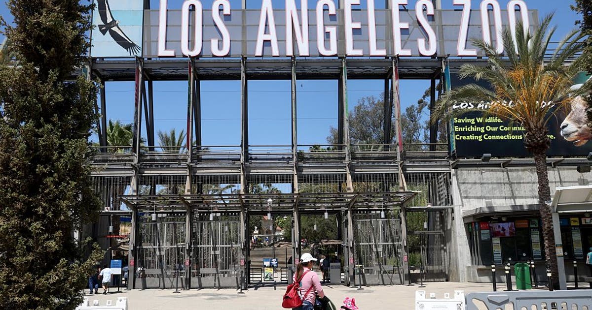 LA Zoo tickets may see another price increase