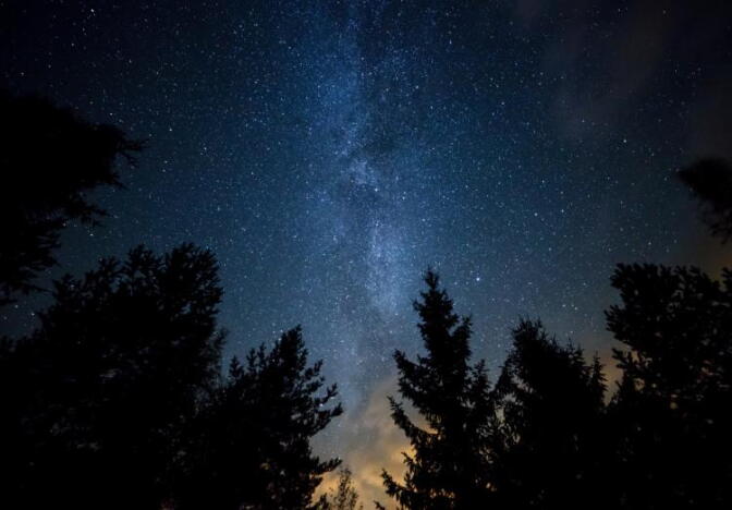 The Milky Way at night above pine trees.