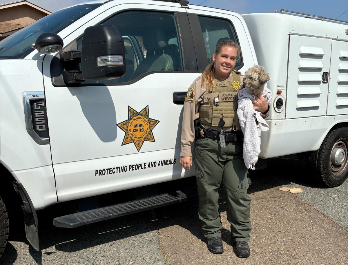San Diego County Services Officer Britney Myers plunged into a manhole to rescue a trapped poodle.
