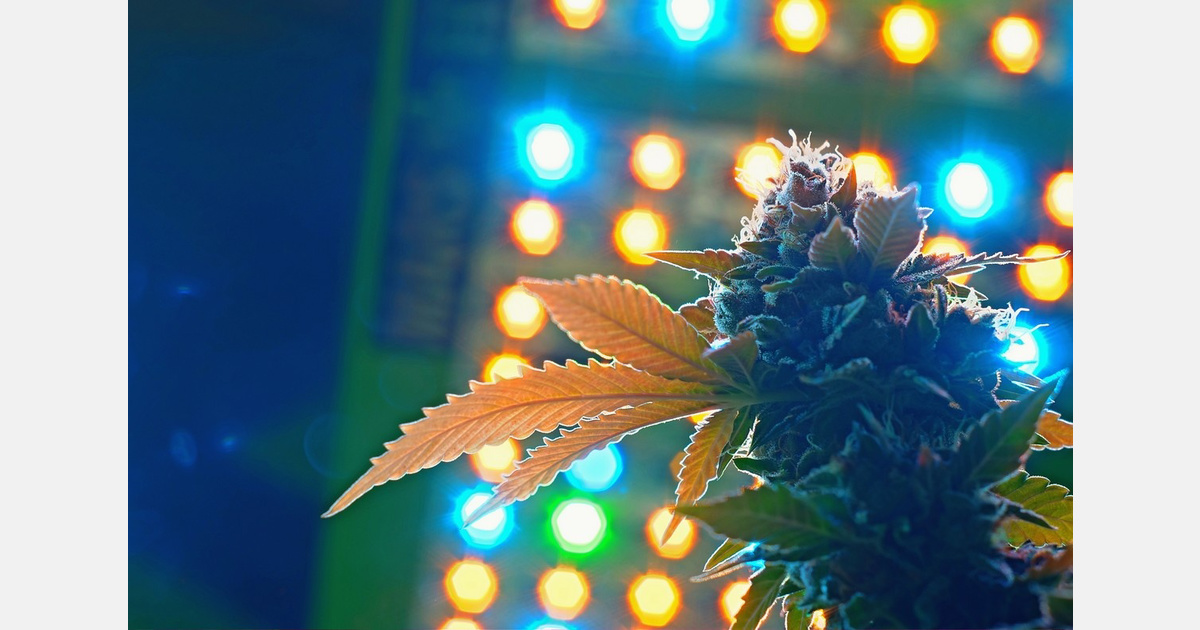 Sweet Life Canna Co. reaches 135 Mississippi dispensaries from Long Beach facility