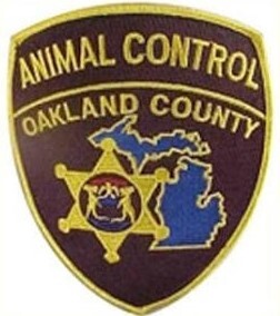 WHMI 93.5 Local News : Oakland County Animal Control Seizes 38 Horses from Milford Business