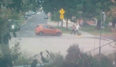 Driver accused of trying to run over couple and their dog at a park in Los Angeles