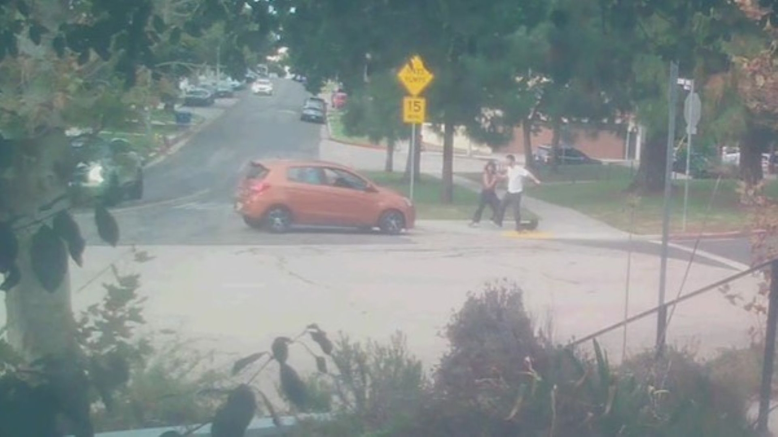 Driver accused of trying to run over couple and their dog at a park in Los Angeles