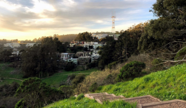 The mysterious case of Glen Park’s most polite thieves