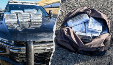 California drug bust seizes over $800K in cocaine at traffic stop