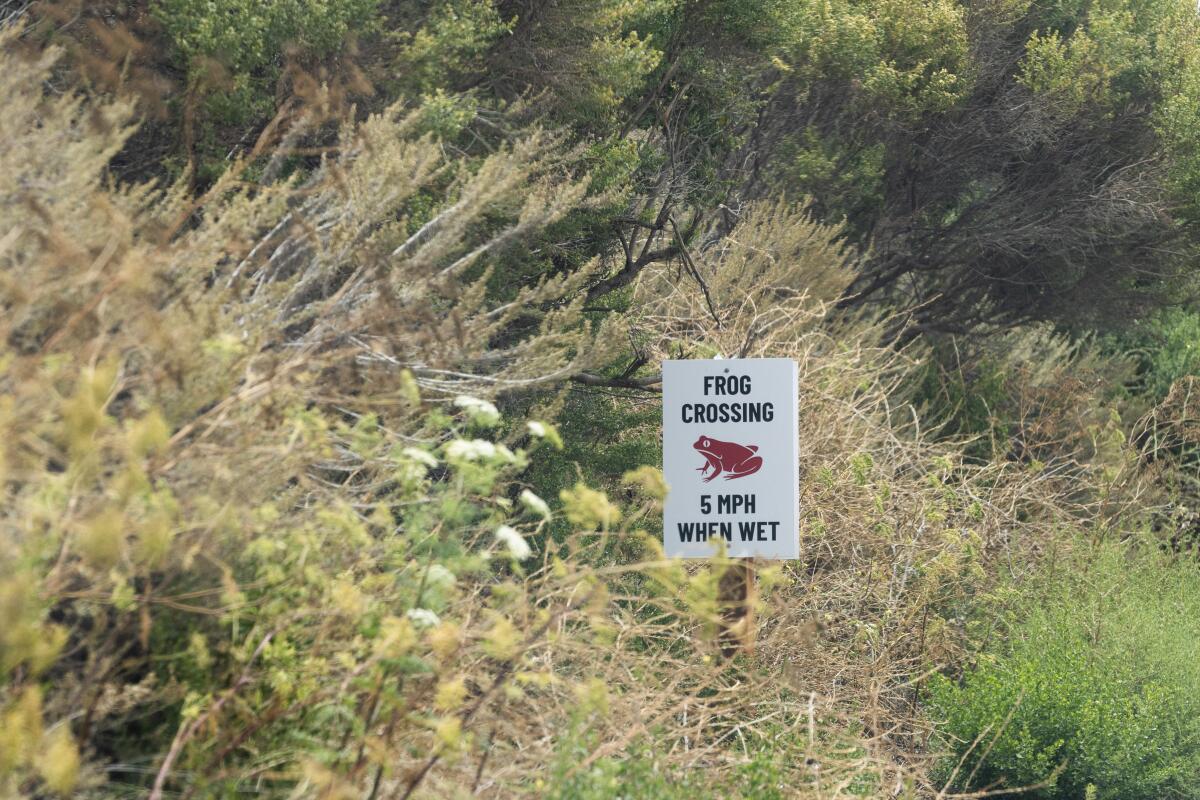 Signs placed along a service road warn of the presence of the federally threatened California red-legged frog