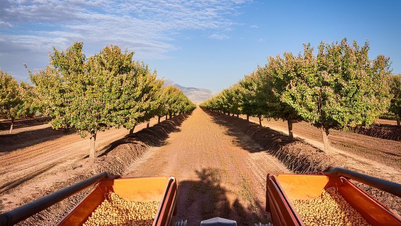 Commerce Secretary Lutnick touts Trump export push at Bakersfield farm roundtable (Photo: AdobeStock)