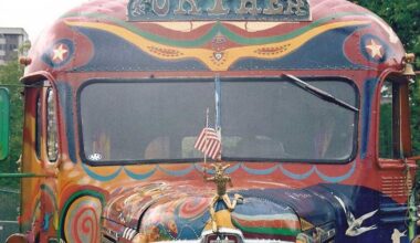 New Book Reveals How Marin Shaped Counterculture