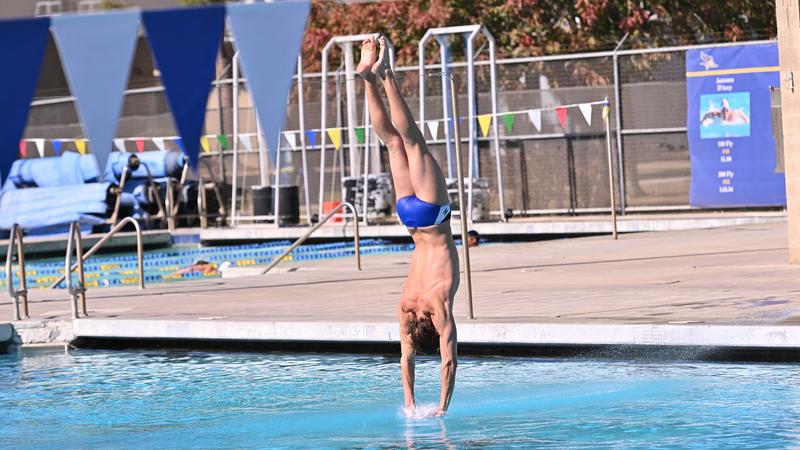 Pelton Welcomes CSUB Alum Modica as Diving Coach