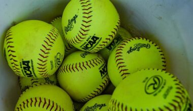 Softball Names Vince Alessandrini as New Head Coach