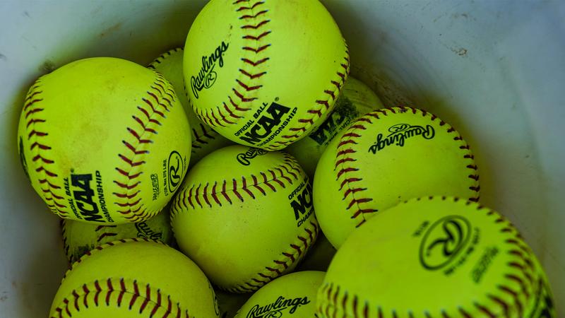 Softball Names Vince Alessandrini as New Head Coach