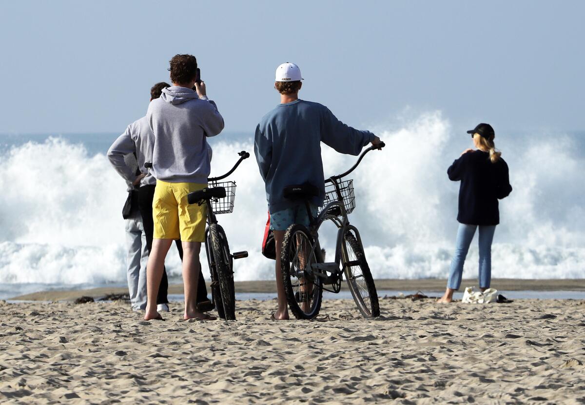 The Wedge in Newport.