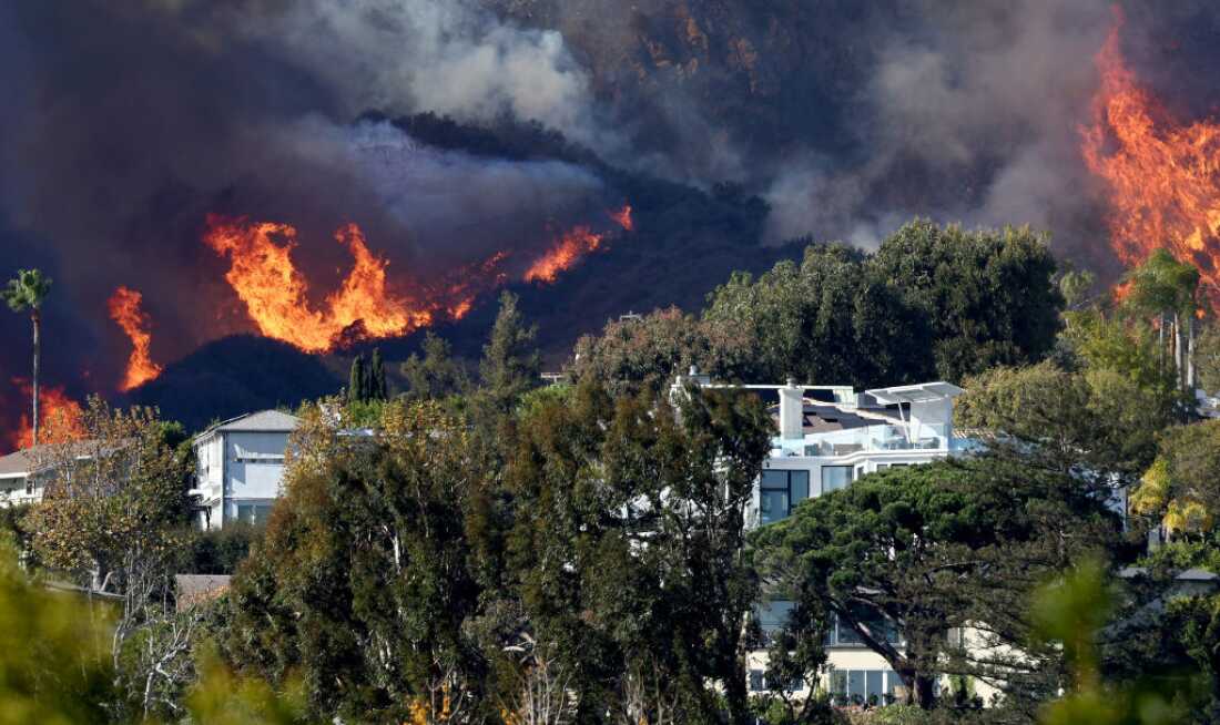 Wildfire experts have found that homes with dense vegetation are at higher risk of burning, like in the Palisades Fire in 2025. New regulations in California require homeowners to manage plants within five feet of a structure.