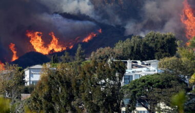 Zone Zero wildfire rules