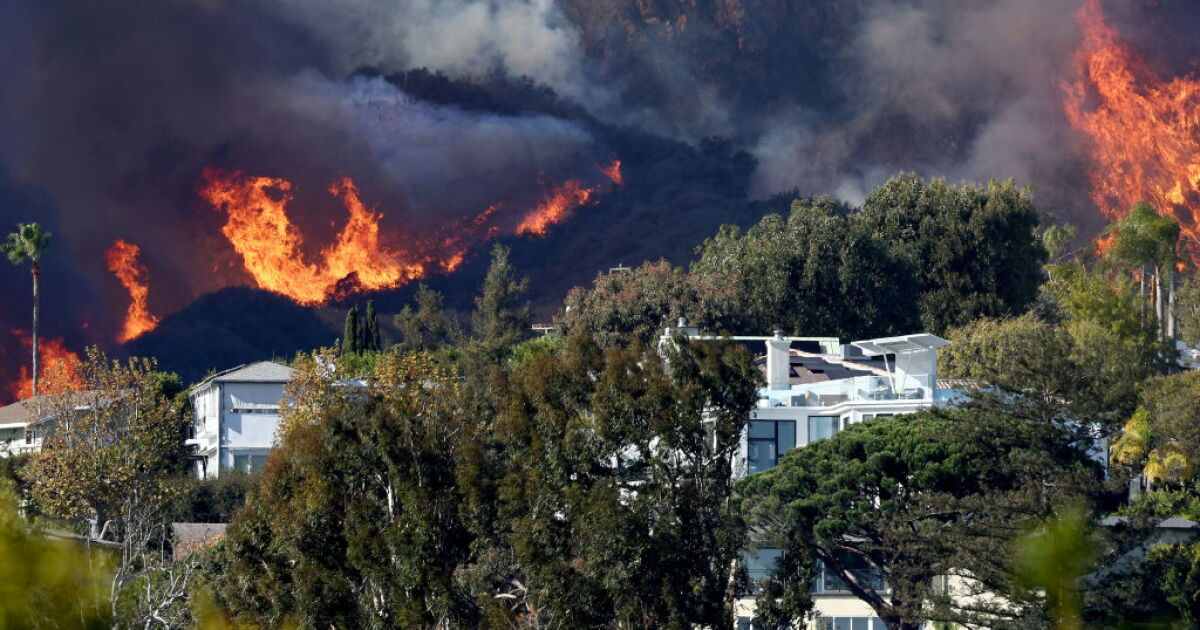 Zone Zero wildfire rules