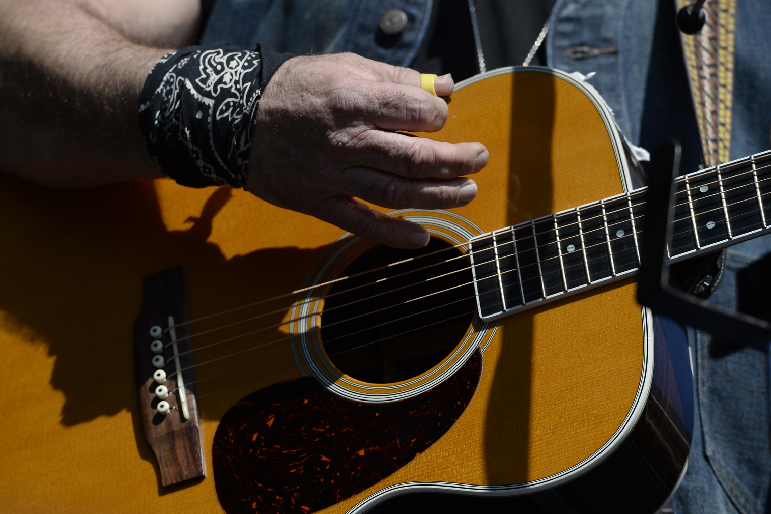 Hardly Strictly Bluegrass festival adds to lineup in San Francisco