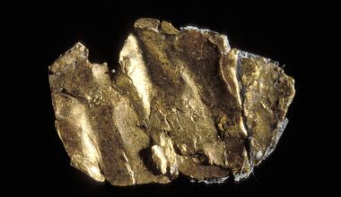 When a Carpenter in California Found a Nugget of Gold, It Started a Rush Toward the Nothing Less Than the Modern World