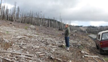 The Fight Over Spraying Roundup in California’s Forests Has Only Gotten Bigger – Mother Jones