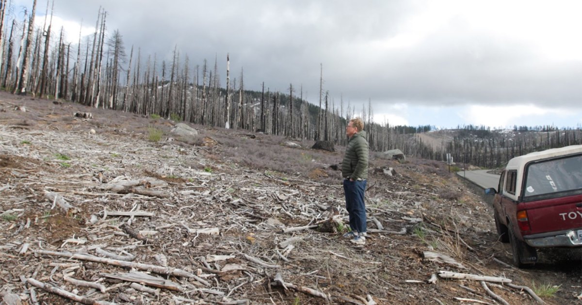 The Fight Over Spraying Roundup in California’s Forests Has Only Gotten Bigger – Mother Jones
