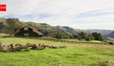 In 1974, the National Park Service bought the Stewart family's 890-acre California ranch; they negotiated the right to remain and continued ranching there until 2021