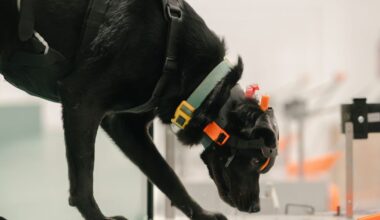 UC Berkeley grad behind a multi-cancer screening tool harnessing a dog's superpower: its sense of smell