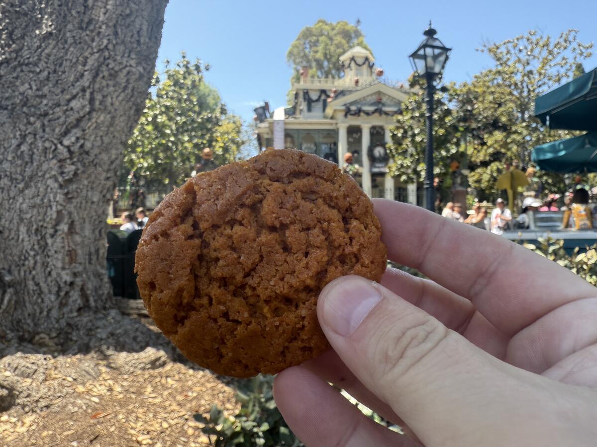 The delicious pumpkin cookie from Disneyland's Harbour Galley.