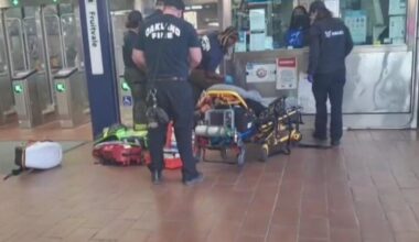 Suspect acted alone in deadly Oakland stabbing rampage, police say