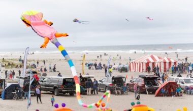 Thousands take to the skies for ‘the Super Bowl of kite festivals’